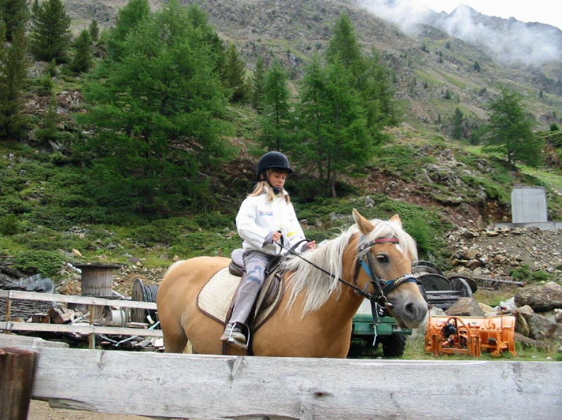 cavallo senales